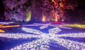 © Christmas Garden | Rainer Keuenhof