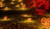 © Christmas Garden | Rainer Keuenhof
