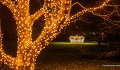 © Christmas Garden | Rainer Keuenhof