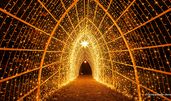 © Christmas Garden | Rainer Keuenhof